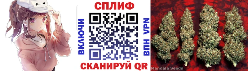 Где найти наркотики Новохопёрск omg ТОР Канабис Меф A-PVP ГАШИШ COCAIN