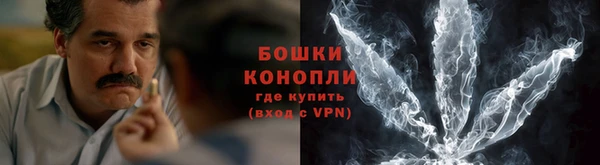 ПСИЛОЦИБИНОВЫЕ ГРИБЫ Михайловка