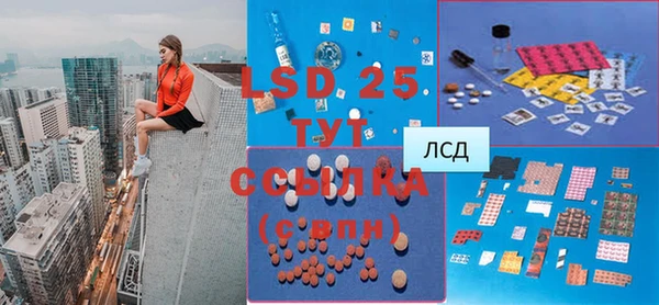 ПСИЛОЦИБИНОВЫЕ ГРИБЫ Михайловка