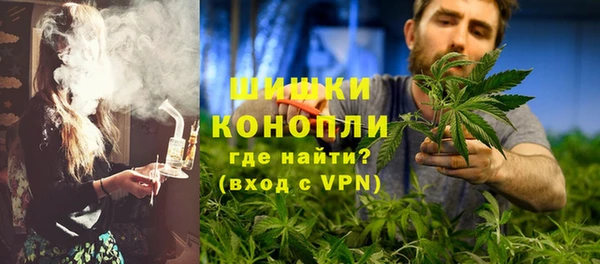 ПСИЛОЦИБИНОВЫЕ ГРИБЫ Михайловка