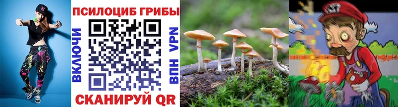 Псилоцибиновые грибы Magic Shrooms  наркотики  Новохопёрск 
