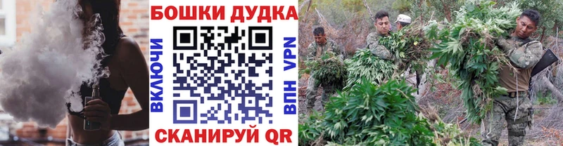 купить закладку  Новохопёрск  Шишки марихуана планчик 